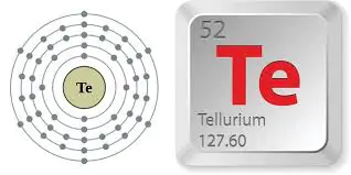 Te-Telua-1695