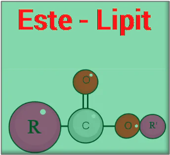 de-on-tap-este-lipid-co-loi-giai-9