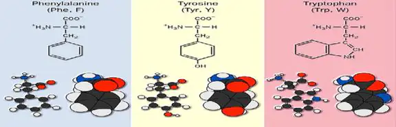 phuong-phap-giai-bai-tap-amin-amino-acid-8