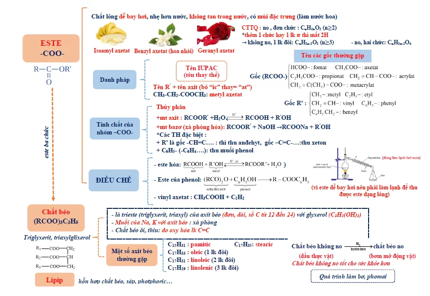 tom-tat-li-thuyet-hoa-hoc-chuong-trinh-lop-12-bang-so-do-195