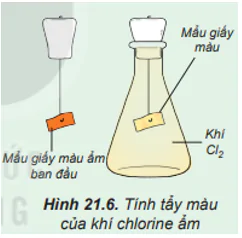 hinh-anh-tim-hieu-tinh-tay-mau-cua-khi-chlorine-am-tien-hanh-dinh-mot-mau-giay-mau-am-vao-thanh-kim-loai-gan-voi-nut-day-binh-tam-giac-sau-do-dua-mau-giay-vao-binh-tam-giac-chua-khi-chlorine-hinh-216-8107-0