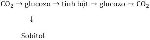 hinh-anh-viet-phuong-trinh-hoa-hoc-cua-cac-phan-ung-thuc-hien-qua-trinh-chuyen-doi-sau-va-ghi-dieu-kien-phan-ung-7572-0